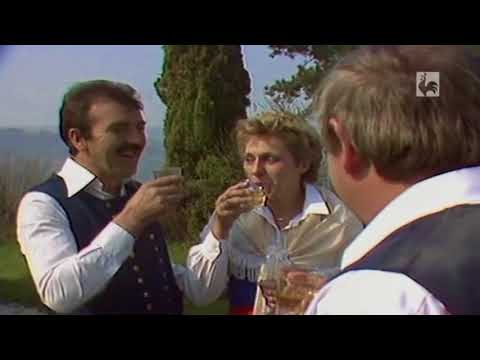 Ansambel Ottavia Brajka - Dan brez vina je kot dan brez sonca