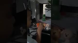 Mostrando aprendizados da videoaula