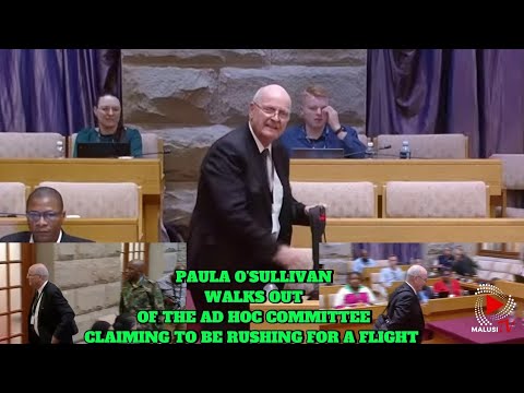 Paul O’Sullivan walks out of the Ad Hoc Committee claiming to be rushing for a flight 