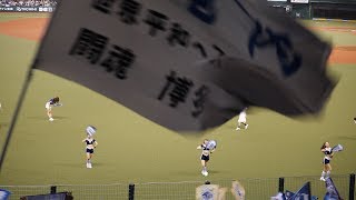 4K 2019年8月23日西武対楽天 西武応援団による応援 外野席側の応援