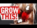 The BEST way to Build your BICEPS!