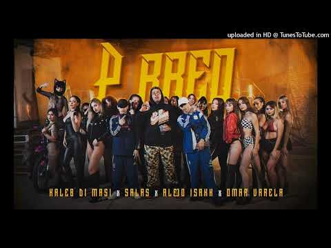 Kaleb Di Masi ❌ Salastkbron ❌ Alejo Isakk ❌ Omar Varela - P RREO (acapella hd)