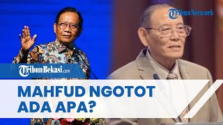 Balas Tudingan Romli Atmasasmita, Begini Reaksi Mahfud gegara Kritik Wacana Prabowo Maafkan Koruptor
