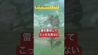 【#ゼルダの伝説ティアーズオブザキングダム 】ヒノックスは雷で起きるんだね
