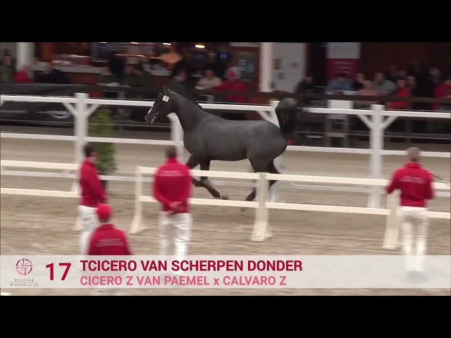 TCICERO VAN SCHERPEN DONDER