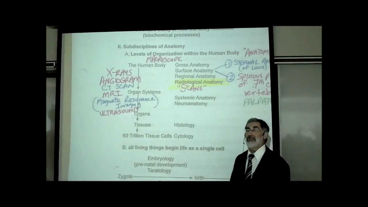 INTRO TO HUMAN ANATOMY by PROFESSOR FINK