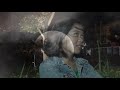 Apakah Itu Cinta Cover Tantri