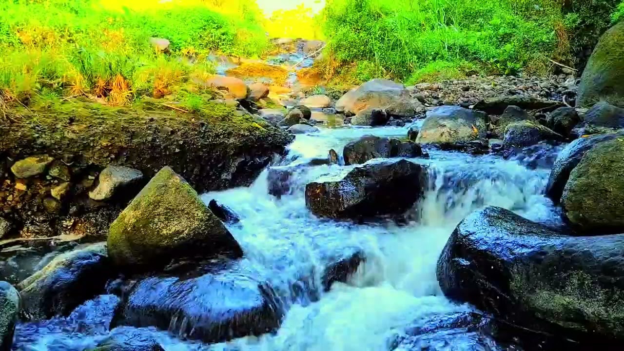 Relaxing Water Sounds, Gentle Stream Flow, Healing Green Forest, Forget Stress, Relax mind and Sleep
