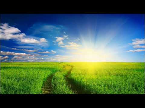 Ангелайт - Путь к Солнцу | Angelight - Way to the Sun