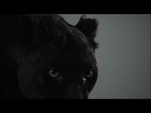 Vincenzo Salvia & PJ D'Atri - Follow The Power (Teaser) / NEW RETRO WAVE RECORDS