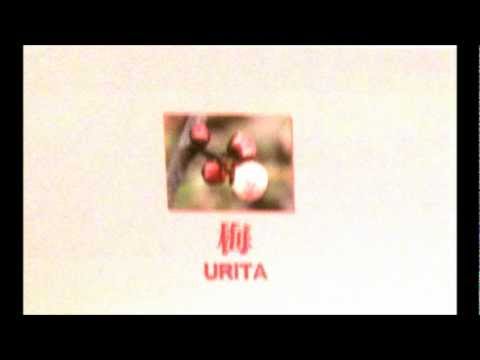 梅 (Ume) Limited  Tape virsion Full By URiTA 2000