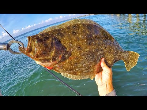 Timing is Everything for a Flounder Limit (Bay Flounder Fishing)