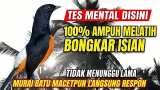 Download lagu PANCINGAN murai batu GACOR FIGHTER melatih emosi bongkar isian, Jadikan burung langsung panas nyaut mp3