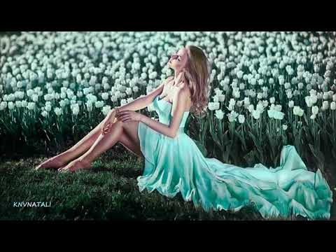 Melodic Brothers & Bryan Milton With Natune - Lethargy (Iris Dee Jay Remix)