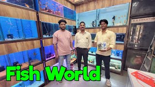 Aquarium Fish Stock Fish World Aquarium Store