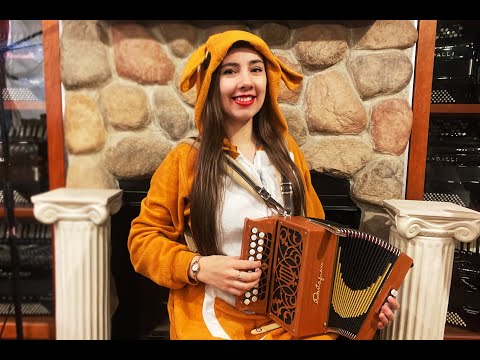 5865 - Certified Pre-Owned Cherry Castagnari Brincu Diatonic Button Accordion GC MM 21 8 $1799