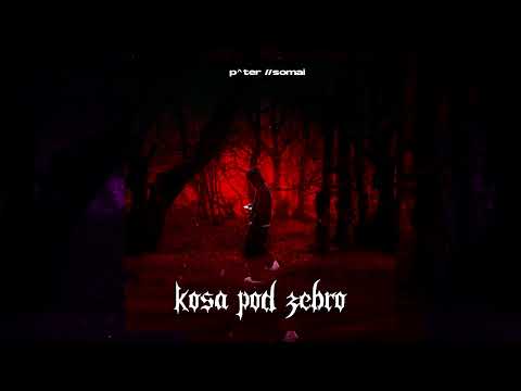 Kosa pod żebro //SOMAI x P^TER