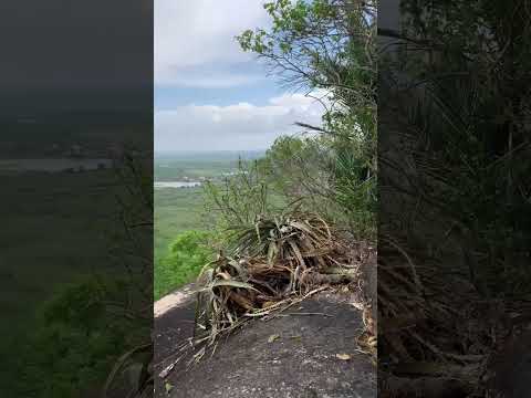 linda imagem do cerrado de Guaiúba no Ceará #viagemdemoto