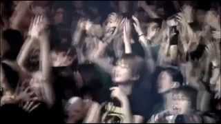 JELLY→ HOLIDAY IN THE SUN