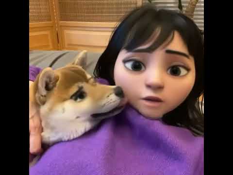 Baby Dogs - Cute and Funny Dog Video [Dogs & Puppies] Aww & Wow Animals Home Moments 130203 #shorts