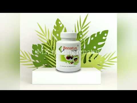 Renatus Nova|about ginkgo balibo leaf in renatus capsules