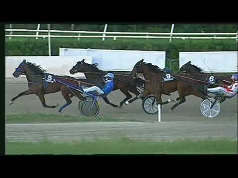 Napoli Trotto 27/11/2022 - 7ª corsa