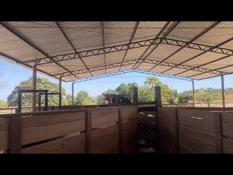 Fazenda Morro Agudo 6