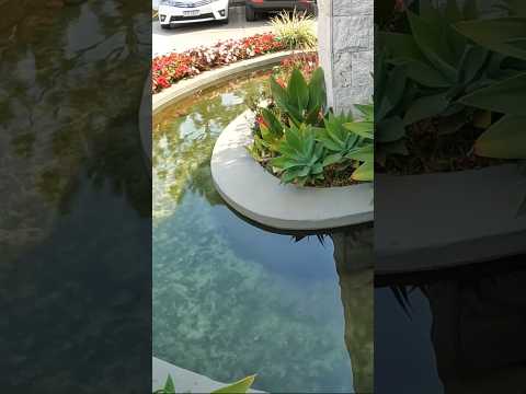 VALE SUIÇO RESORT - ITAPEVA MG - OLHA ISSO 💫