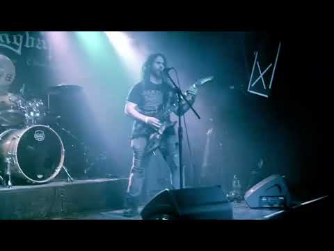 Lokane Live Dingbatz