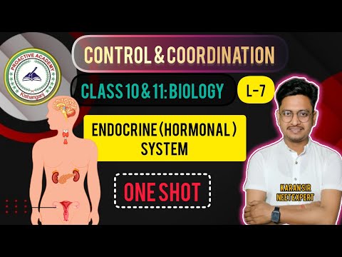 Proactive Academy Imphal Video 2