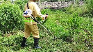 Sức mạnh máy cắt cỏ - lawn mower power
