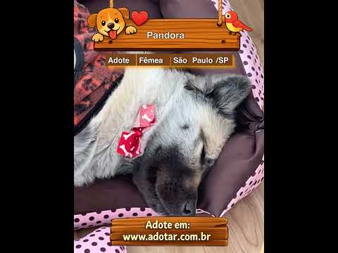 Vídeo de Pandora