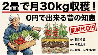 2畳のスペースで月30kgの野菜 — お金をかけない昔の農家の育て方