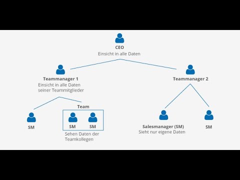 Salesforce Kurs(deutsch,de) -Einführung- Rollen in Salesforce