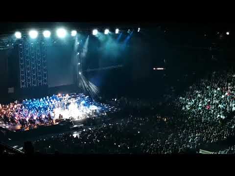 Oprosti mi pape(VRIDILO JE)