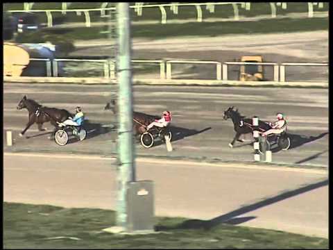 Trotto 09/12/2014 - 1° prova di riqualifica