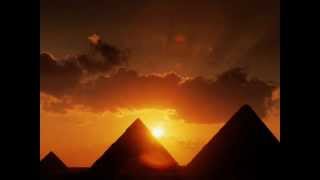 Love me and leave me - The Seahorses