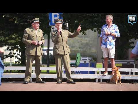 Het nieuwe begin in Stramproy