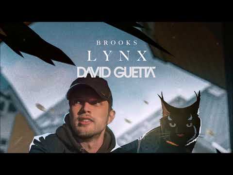 David Guetta & Sia vs. Brooks - Titanium vs. Lynx (David Guetta Mashup)