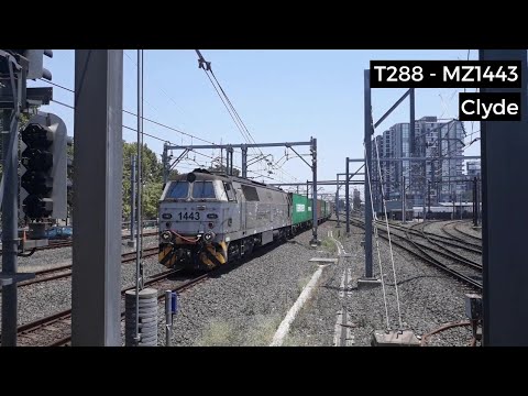 T288 - MZ1443 - Clyde