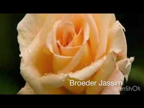 Opwekking 475 - Majesteit, Koning in eeuwigheid