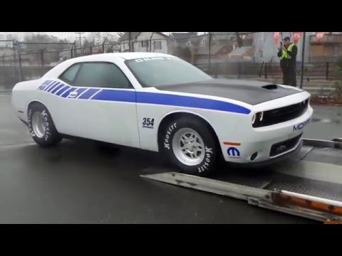Papas Dodge