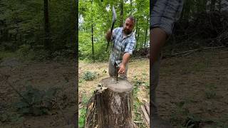 Download lagu Splitting wedge vs hickory mp3