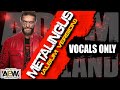 Adam Copeland Metalingus Alter Bridge Vocals Only