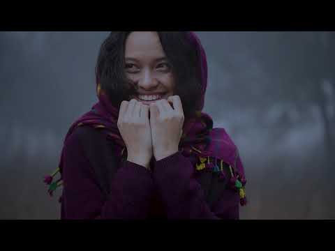 FW18 Forest Path | TM collection by Teresa Martins | Editorial