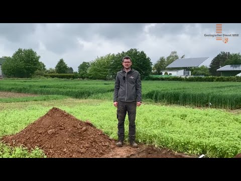 Feldtag Kerpen-Buir 2021: Standortkundliche Bodenansprache