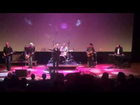 Felix Maginn & The Citizens ‎– Party Of My Mind (IDFA)