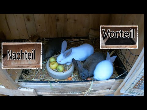 , title : 'Vorteile einer Kotwanne im Kaninchenstall'