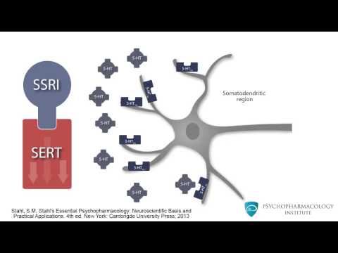 Mechanism of SSRIs: Monoamine Theory and the Role of BDNF
