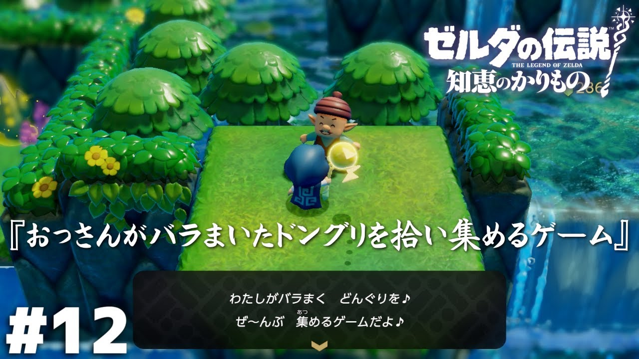 おじさんは…なぜこの活動を？【ゼルダの伝説 知恵のかりもの】＃１２
